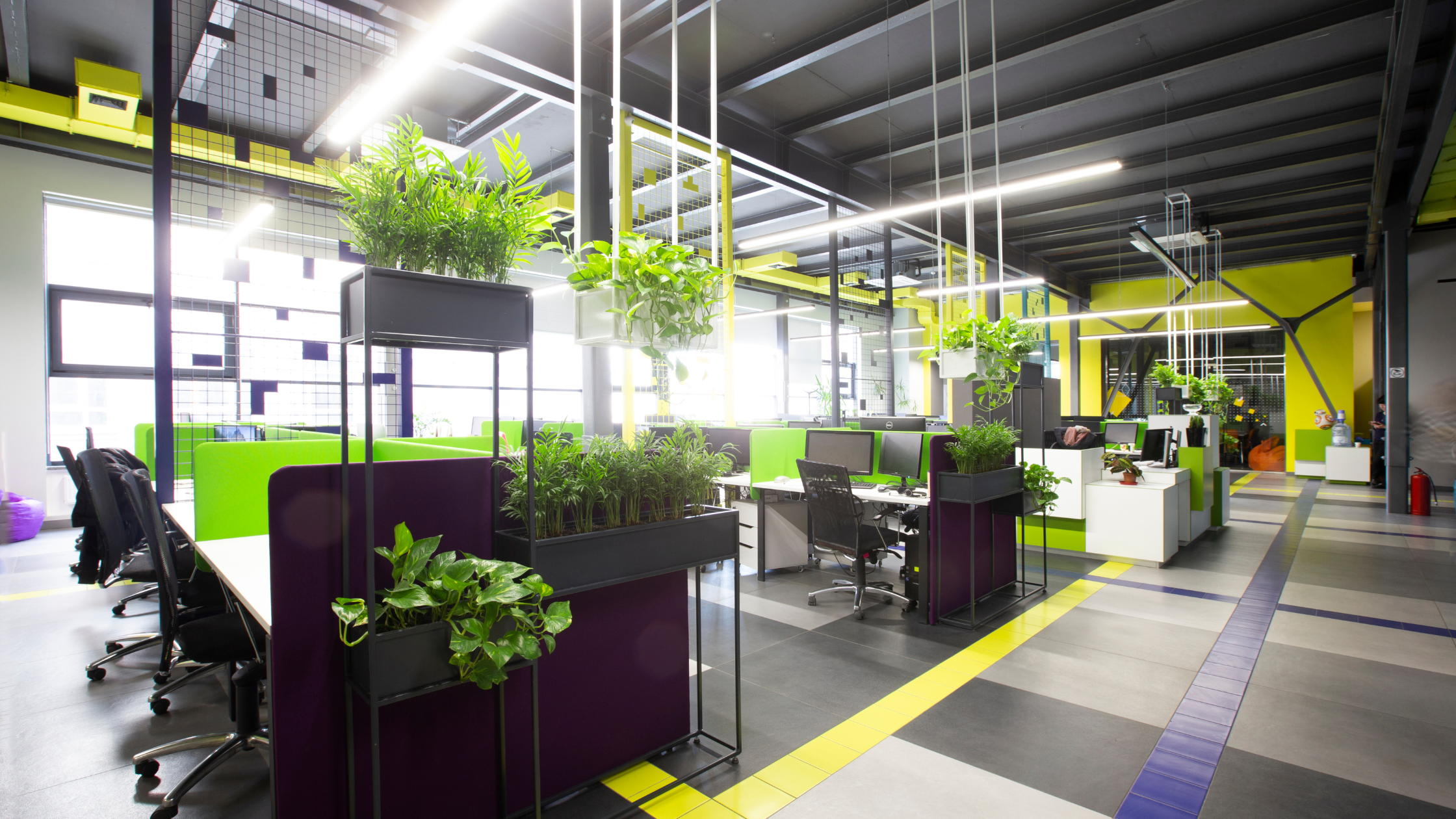 A green example of biophilic design in the office