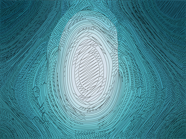 Fingerprints, confirm identity, provide proof that an applicant is who they say they are in Canada, best person for the job