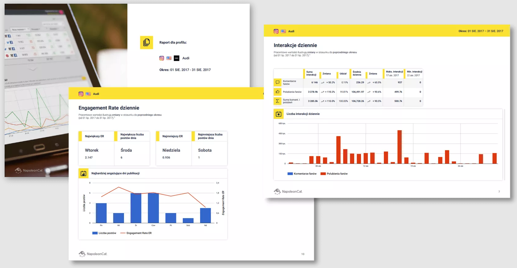 Raporty w narzędziu NapoleonCat