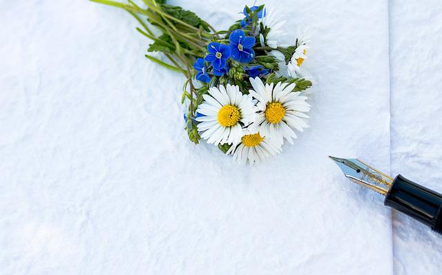 greeting card, thank you card, daisy