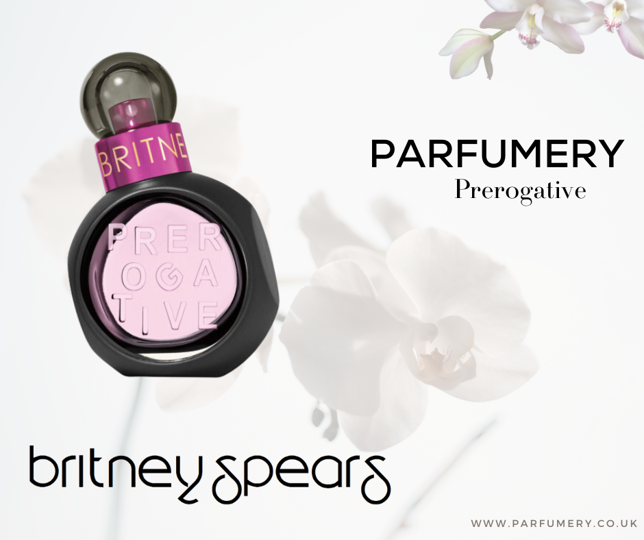 Britney Spears - Prerogative - YSL Dupe