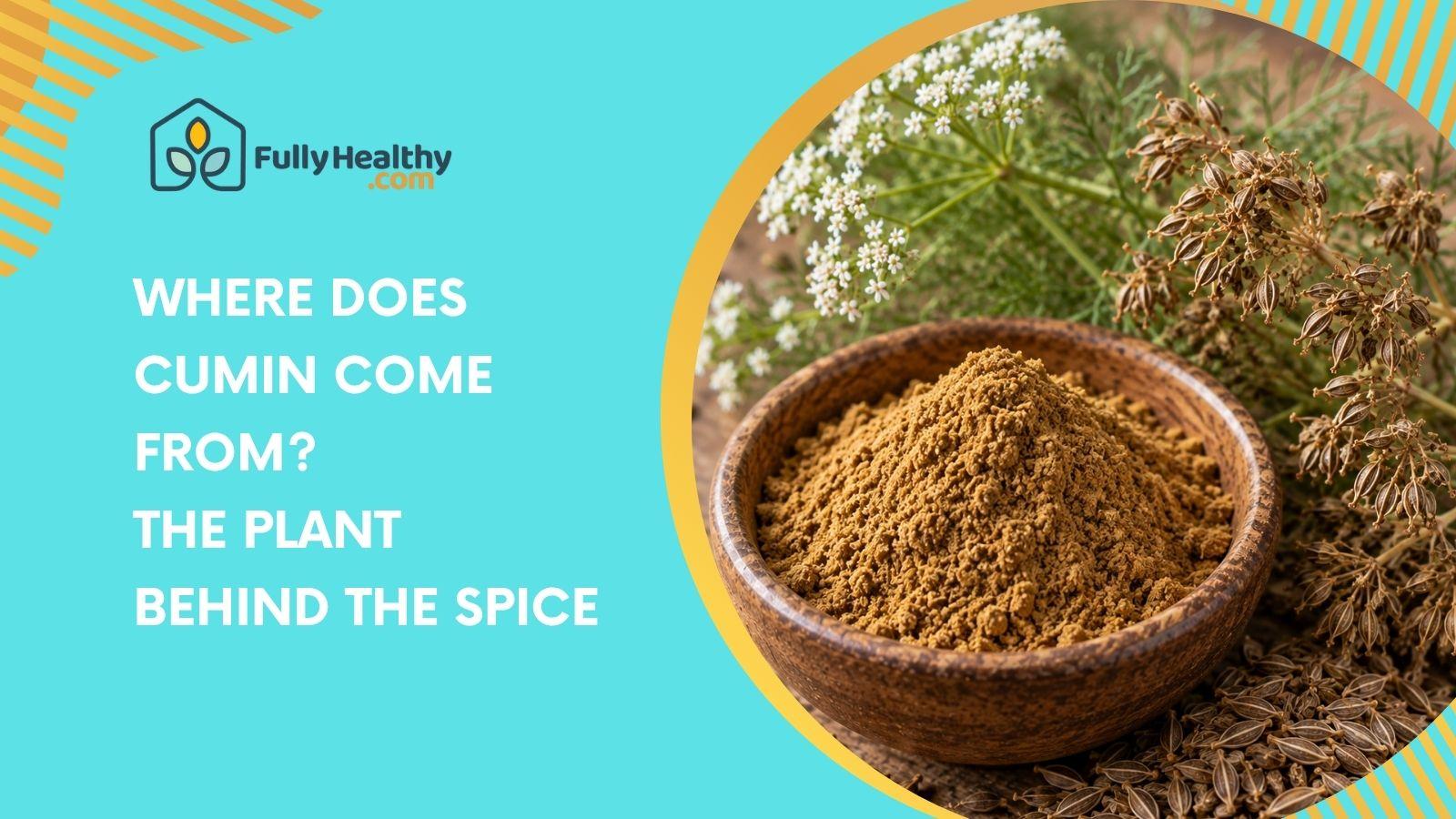 Where Does Cumin Come From? The Plant Behind the Spice