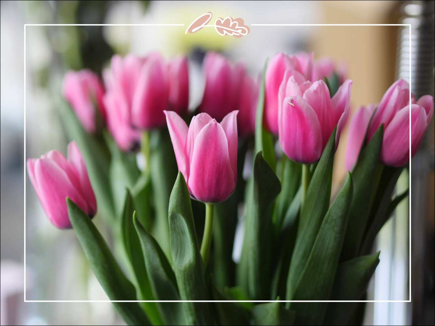 Pink tulips in soft focus with fresh green leaves, elegant spring blooms in a vase, with Fabulous Flowers border.