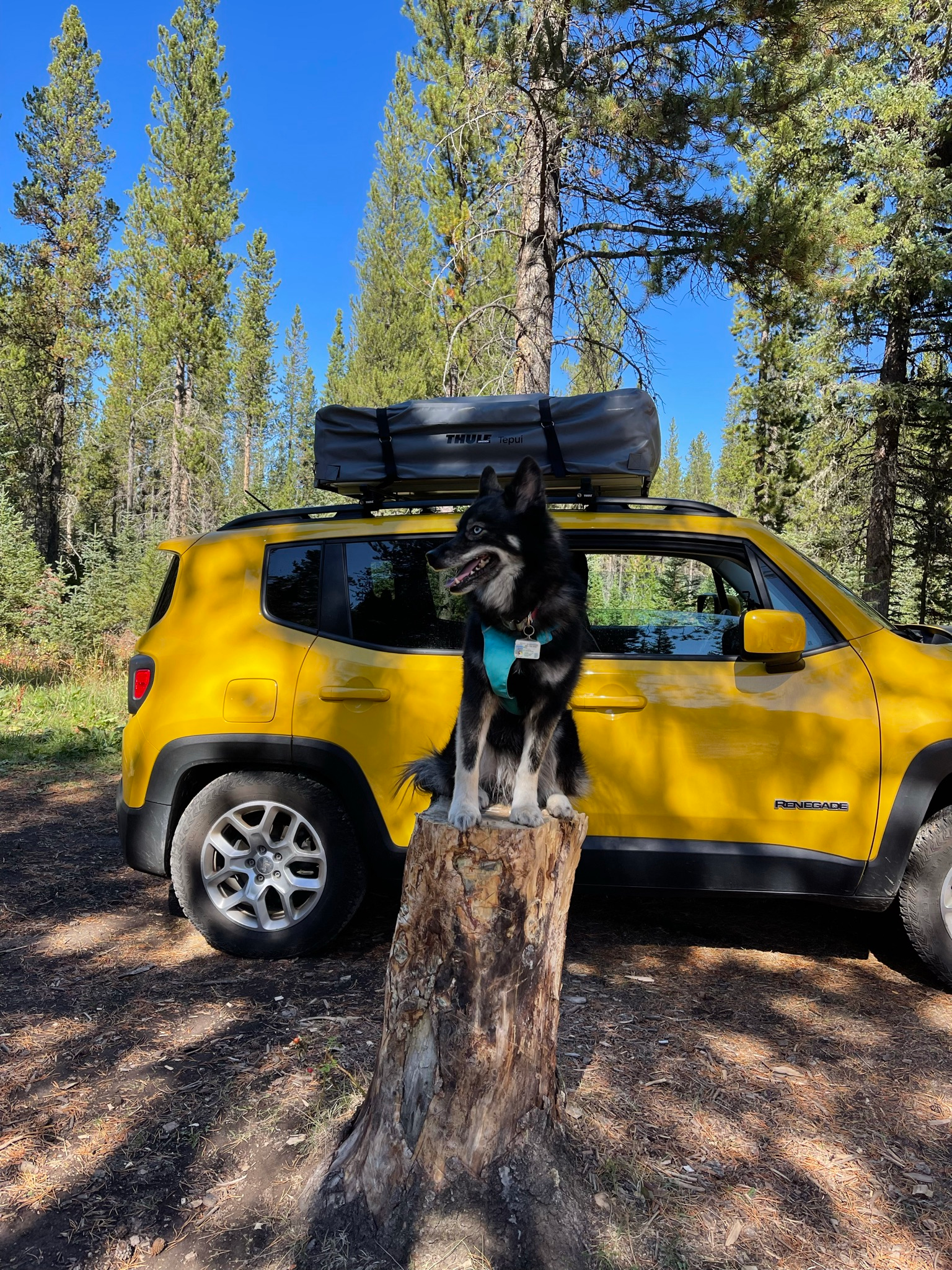 inflatable paddle board on a roof rack