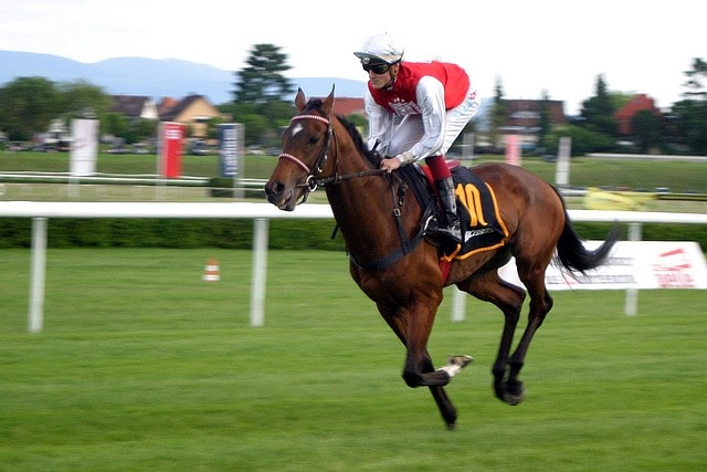 A jockey on a running racehorse
