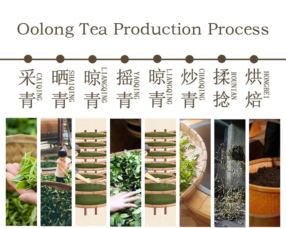 Oolong Tea Production Process