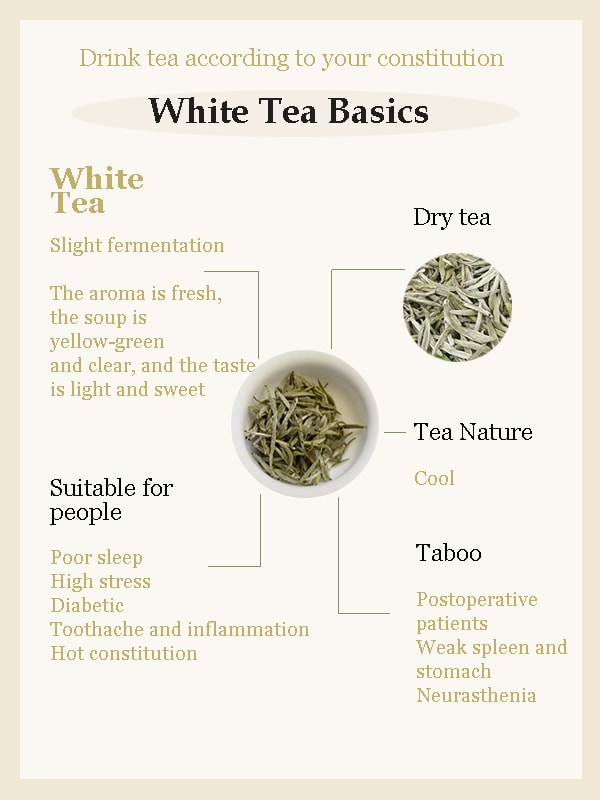 White tea basics