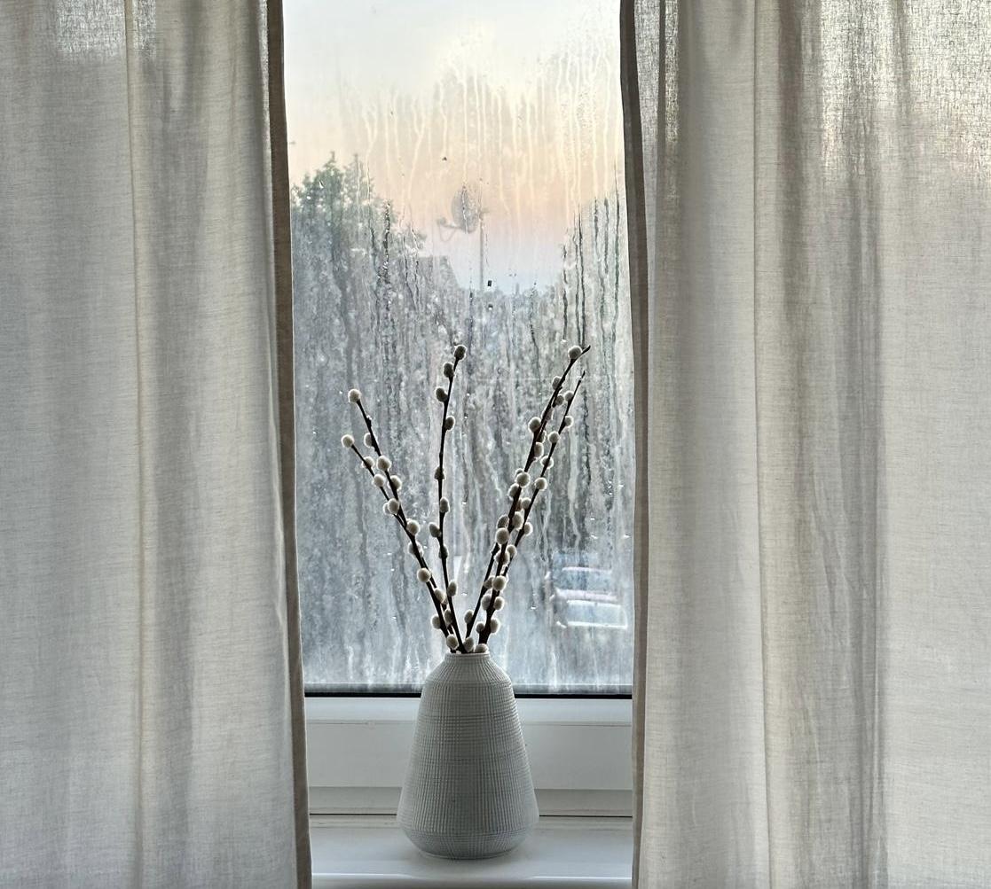 condensation within panes of glass