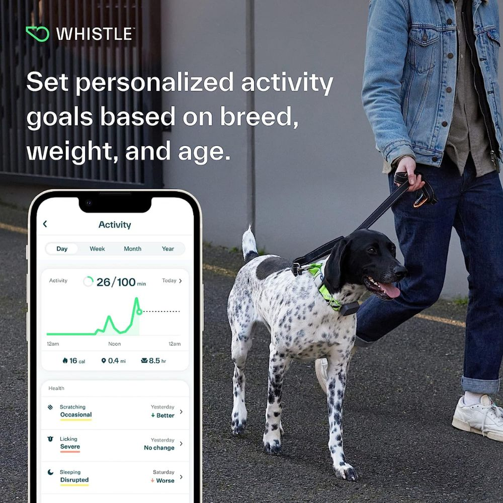 Whistle GO Explore GPS + Health + Fitness Dog Tracker