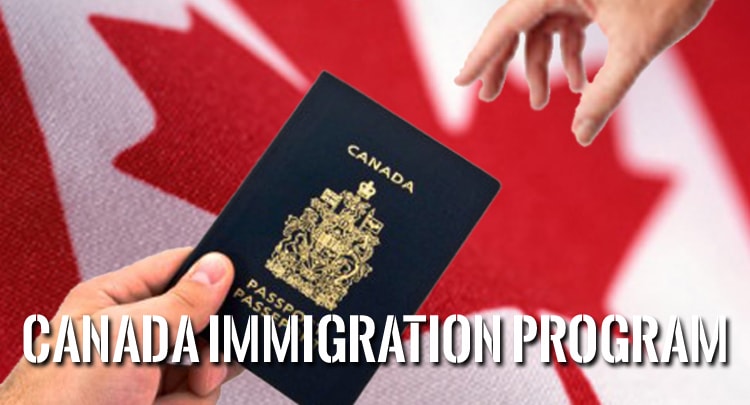 An infographic illustrating various immigration programs to Canada.