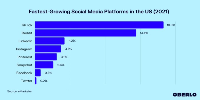how to grow social media followers for business
