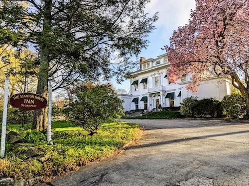 Magnolia flowers blooming in front of Stanton House Inn