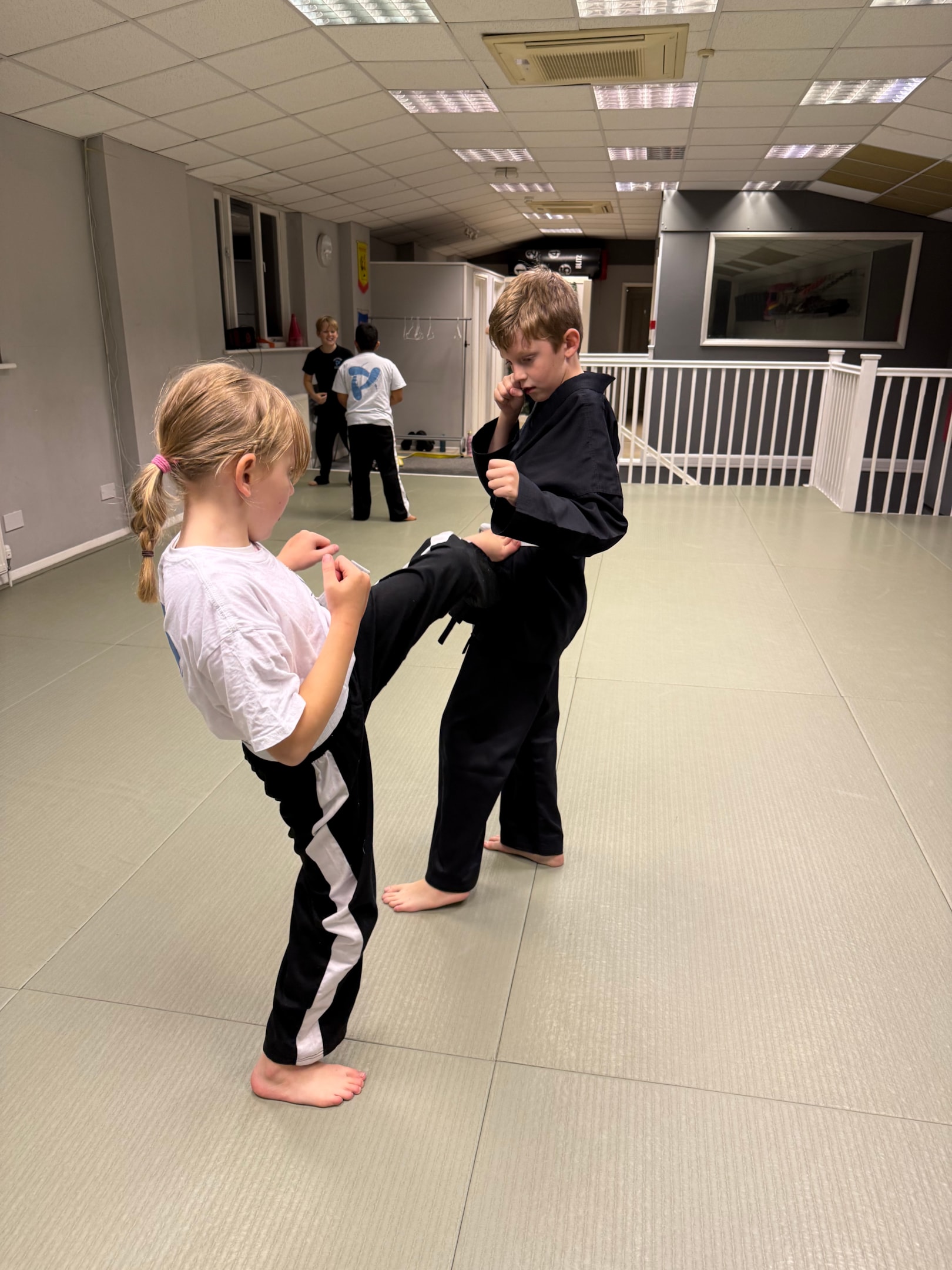 Martial arts training, alongside fellow students, helps develop motor skills, self-respect, and self-confidence.
