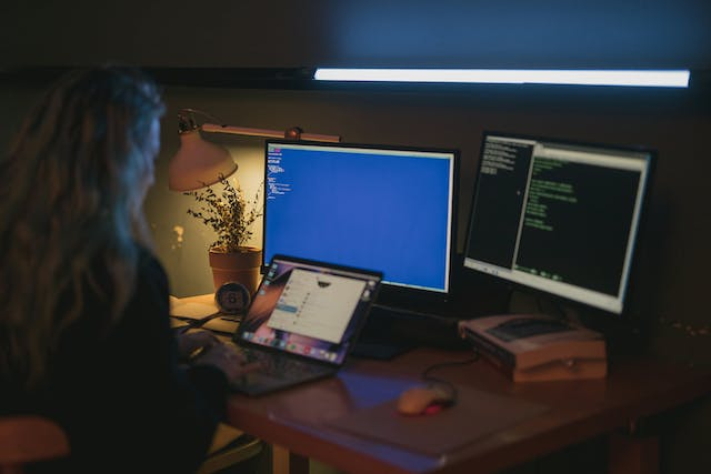 custom software application development
