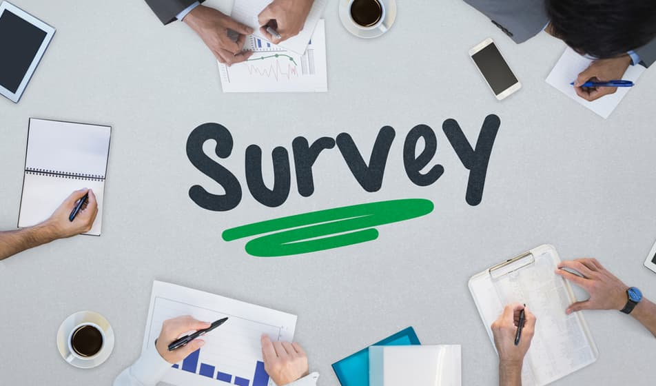 Employee Surveys and their Purposes