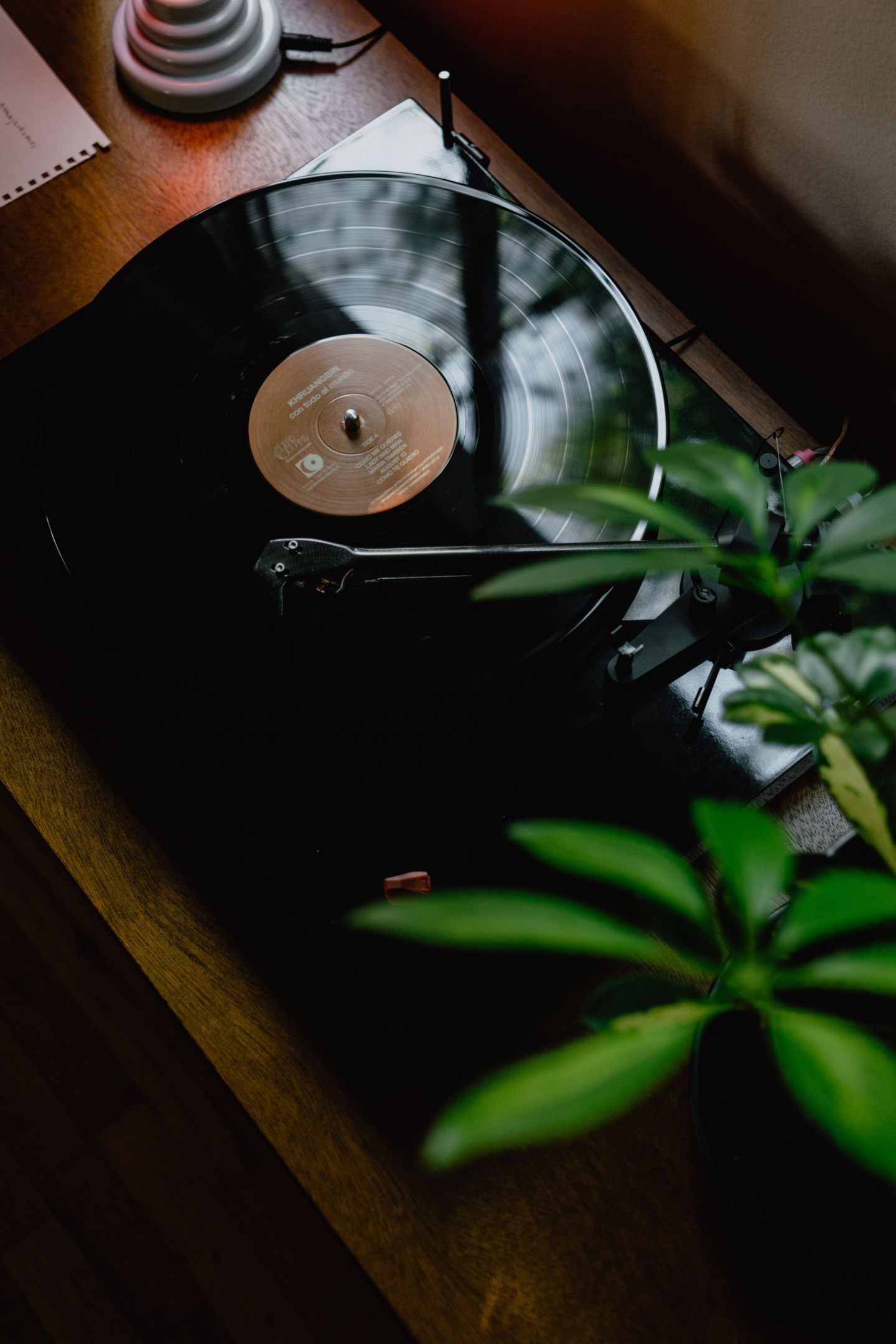 Pro-Ject - Cork & Rubber it Platter Mat - Music Direct