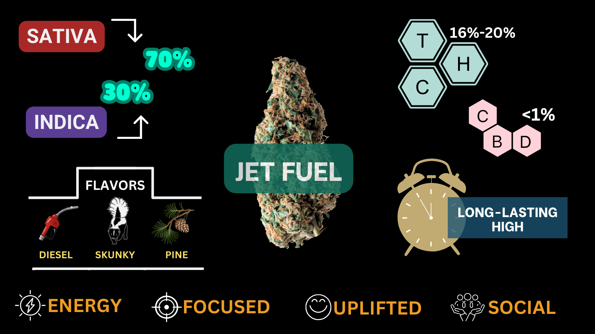 jet fuel cannabis strain visual infographic