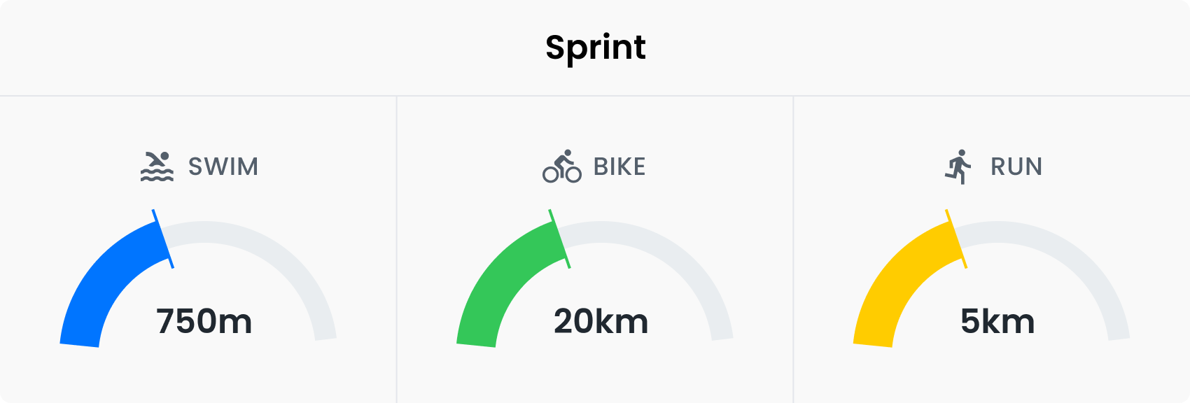 Average Sprint Triathlon Time
