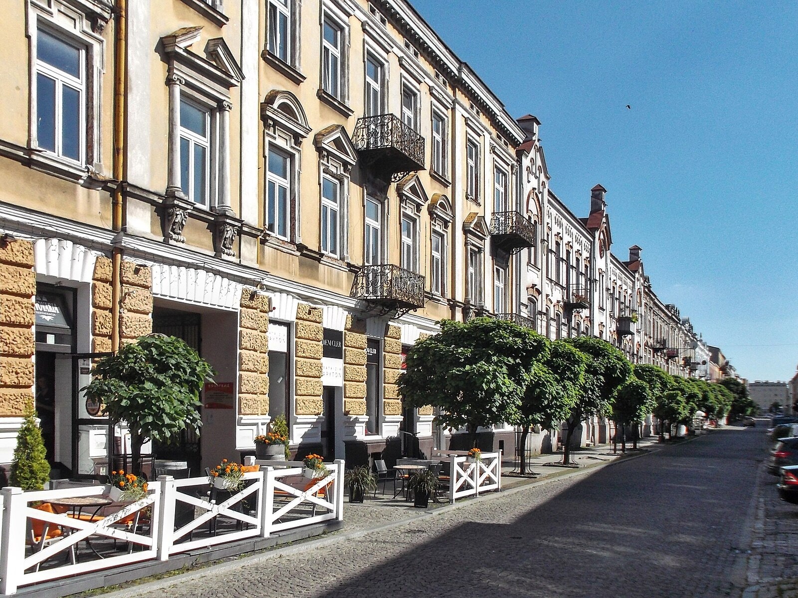 Część miasta Radomia prezentująca zadbane kamienice i deptak pełen drzew. Źródło: https://commons.wikimedia.org/wiki/File:Moniuszki_Street_in_Radom_01_%28cropped%29.jpg