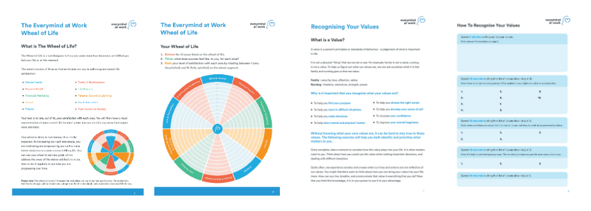 Everymind at Work Wheel of Life and Recognising Your Values