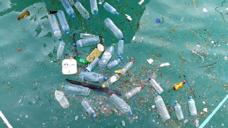 Plastic bottles causing water pollution 