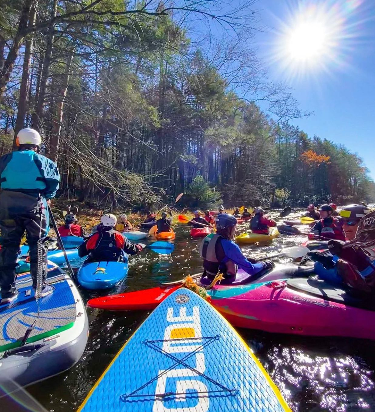 paddleboards and kayaks