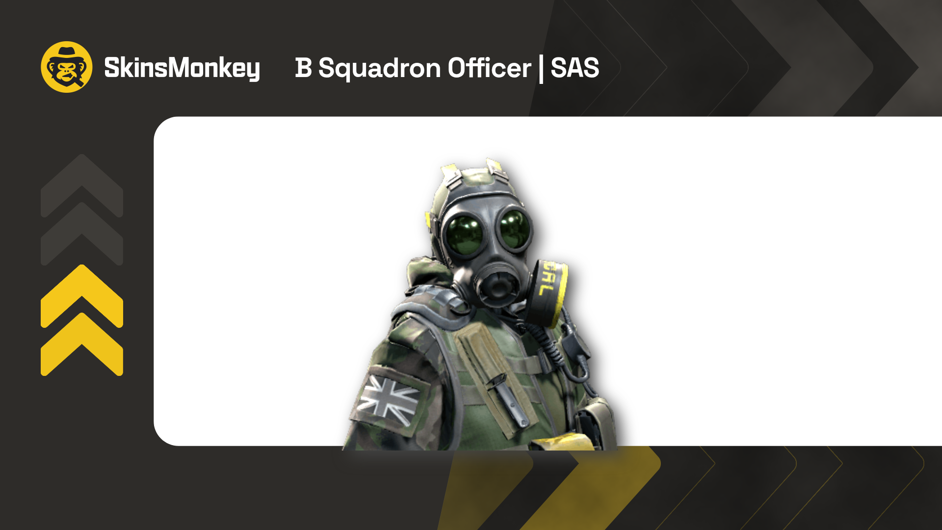 B Squadron Officer | SAS