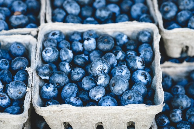 blueberries, bunch, berries