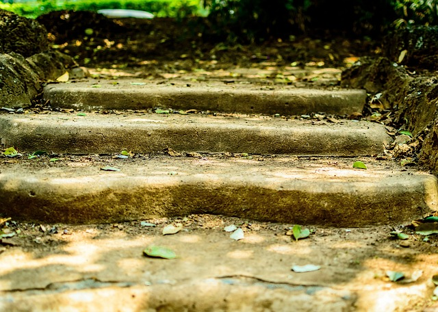 stairs, steps, stairway