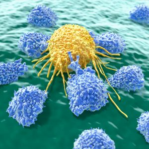 killer t cell in immune system