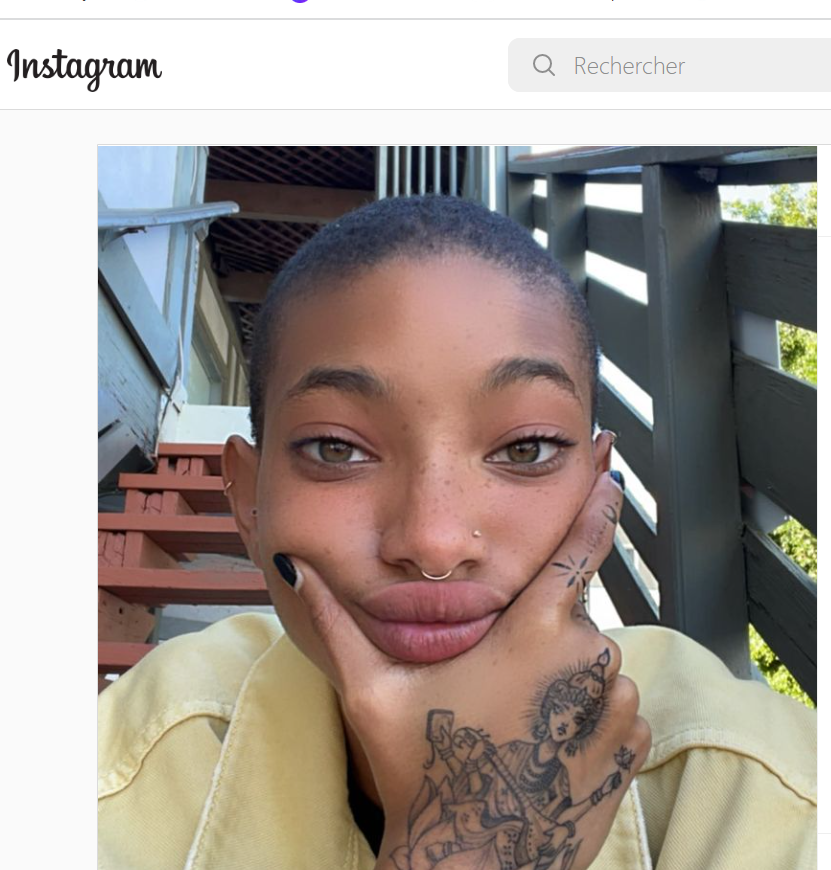 Credit: Willow's Instagram