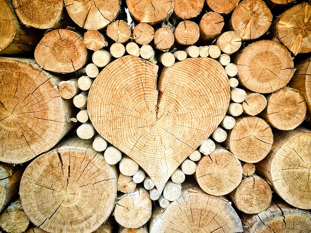 heart, wood, logs