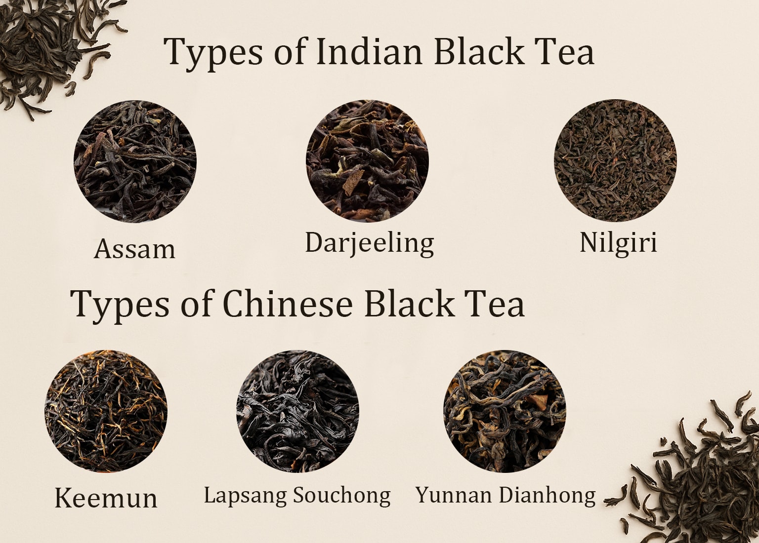 Explore Different Types of Black Tea