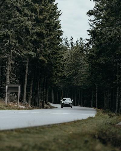 Car driving through Acadia National Park