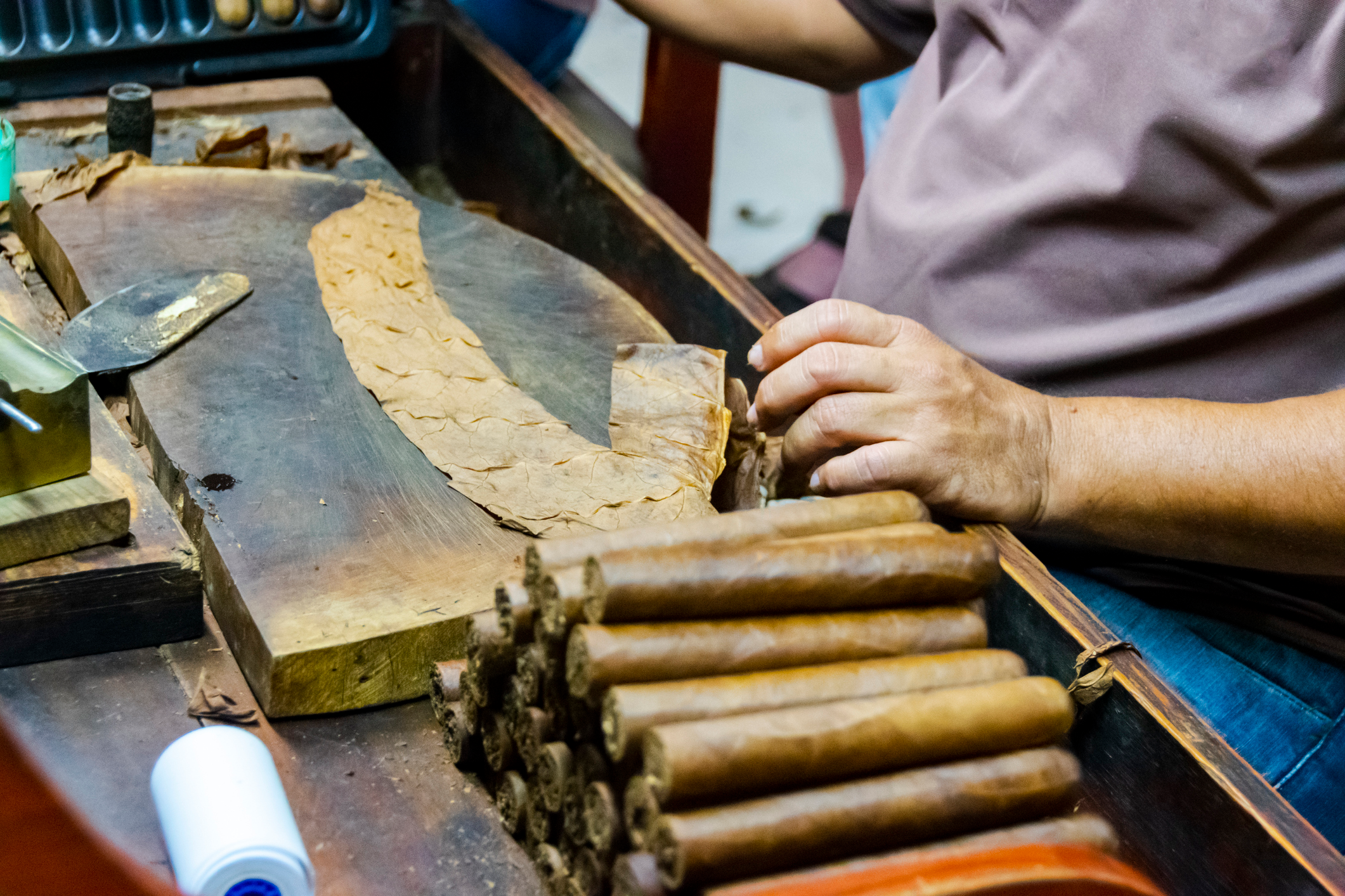 A Cuban cigar maker rolling a cigar in a traditional way
