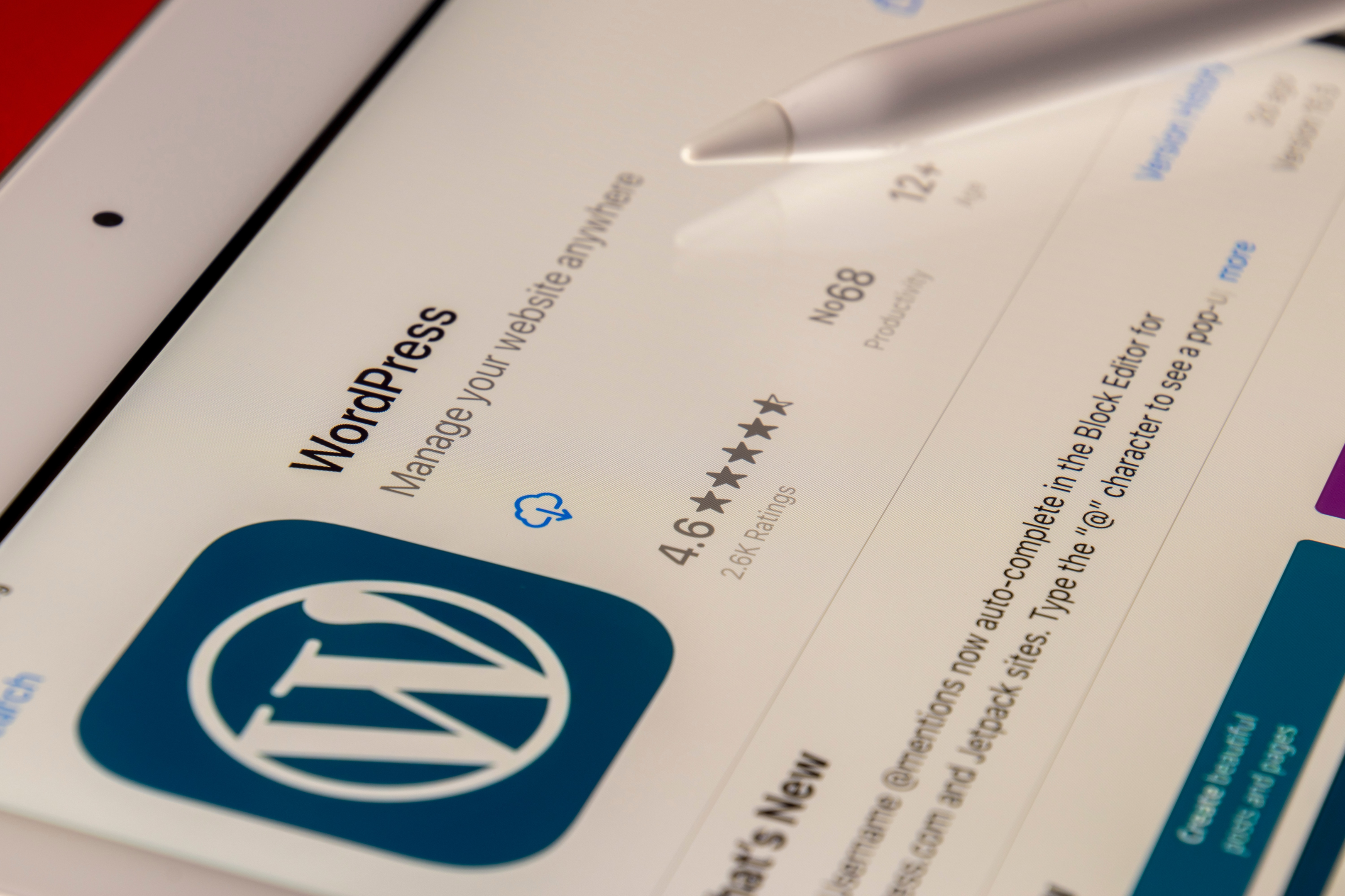 wordpress ecommerce development
