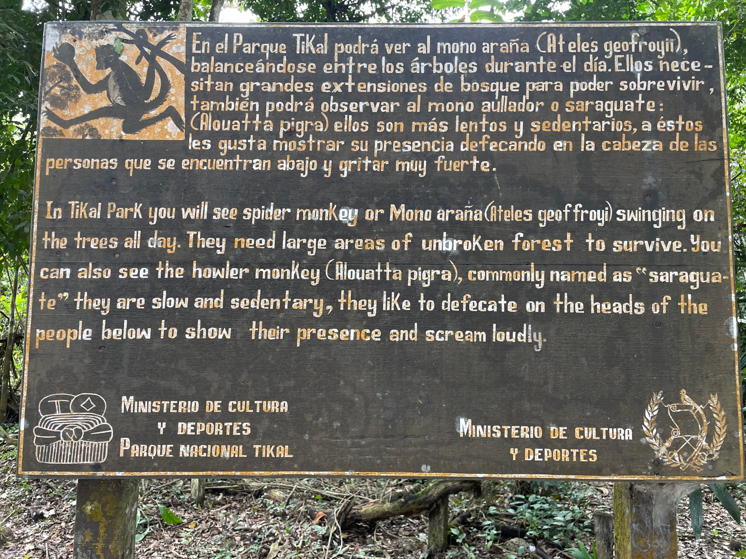 A sign warning about wildlife in Tikal