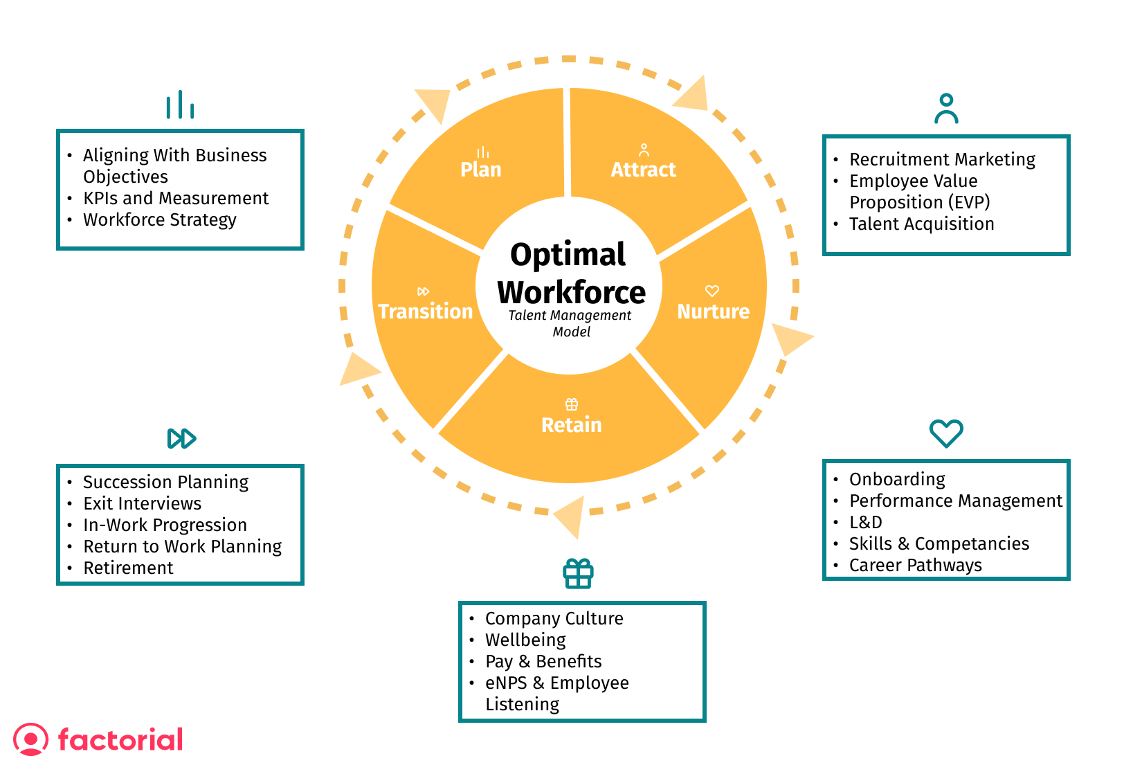 Talent Management Cycle infographic 
