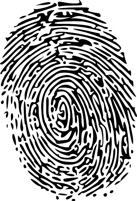 fingerprint, touch, crime
