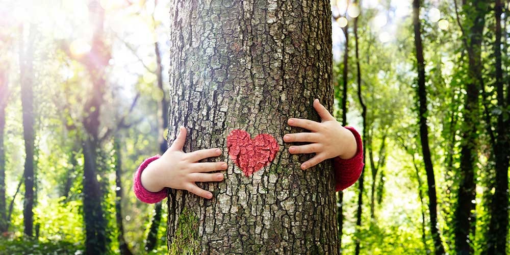 protected tree species. girl hugging tree with a heart