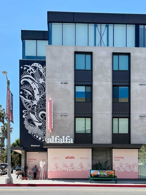 Coming soon custom window graphics, channel letter and blade signs for Alfalfa.