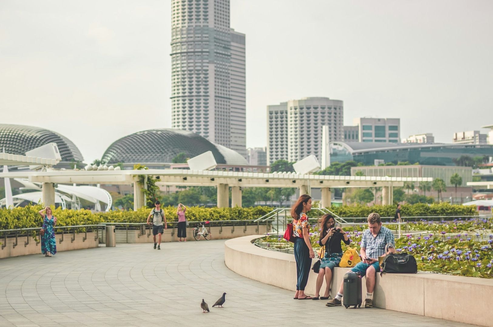 People enjoy a sunny day on a curved walkway near urban buildings with unique architecture. Pigeons wander nearby, adding a relaxed vibe.