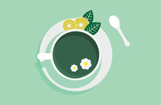a graphic of a cup of green tea wiht lemon and mint on the side