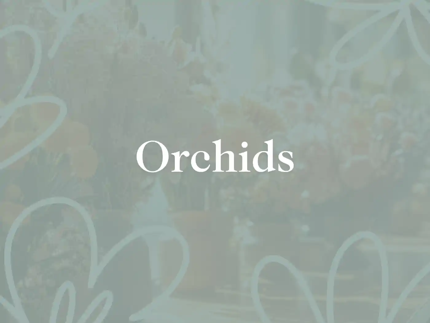 A background image with a soft floral pattern overlayed with the text "Orchids". Fabulous Flowers and Gifts - Orchids Collection.