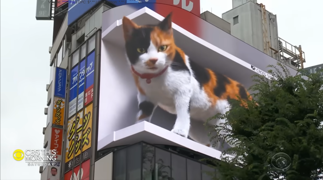 How Do 3D Digital Signage Billboards Work? 9 shinjuku’s giant 3D cat billboard