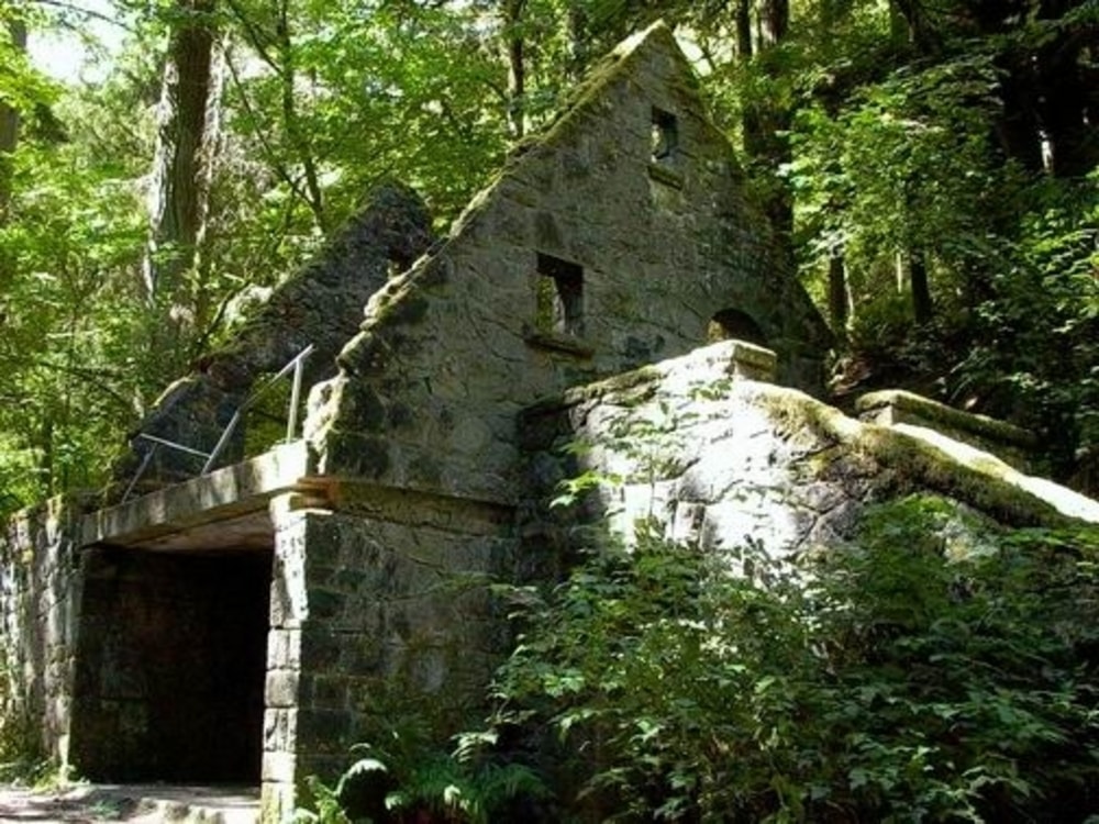 date ideas in portland: Macleay Park in Forest Park