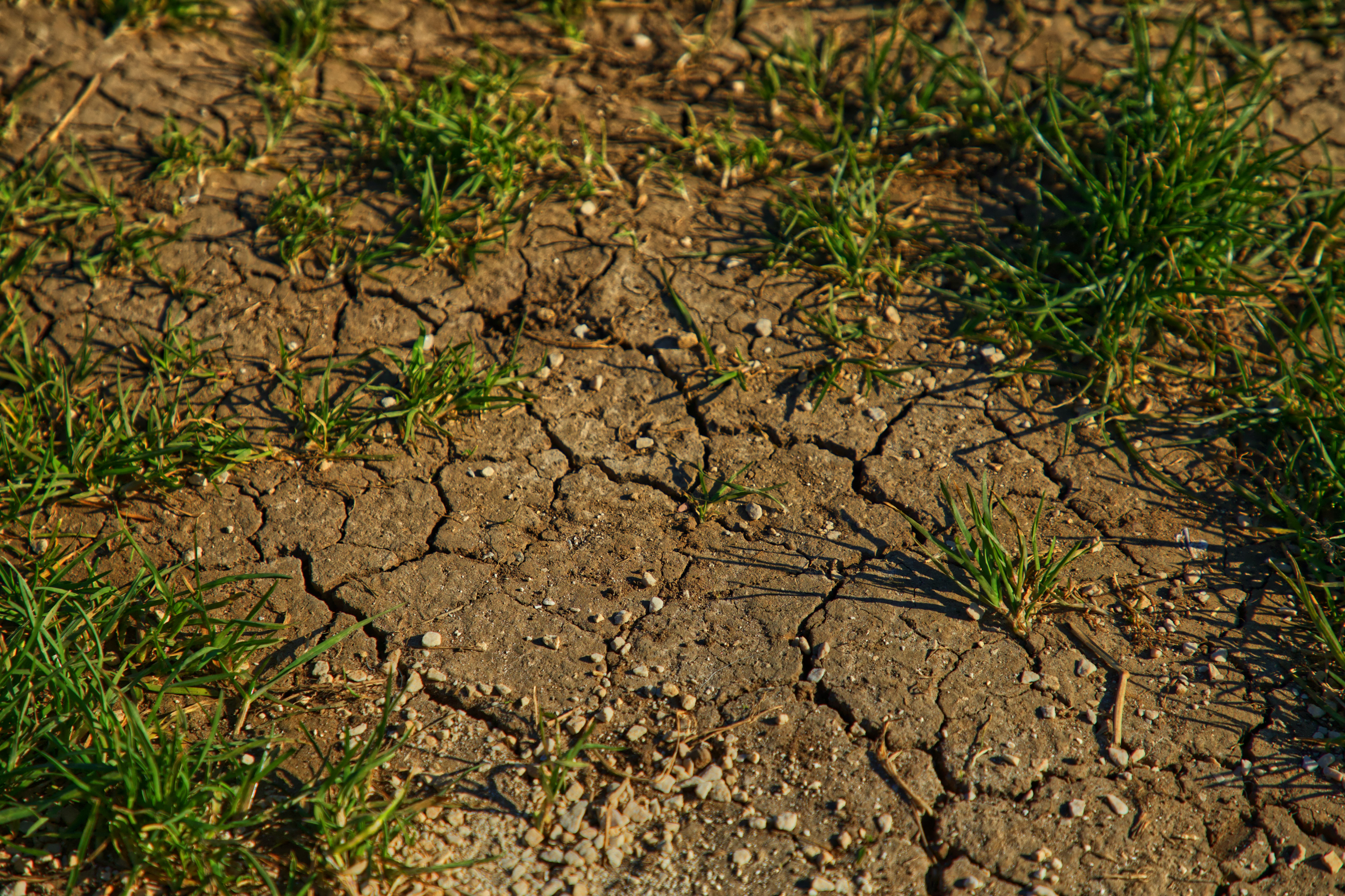 Soil erosion