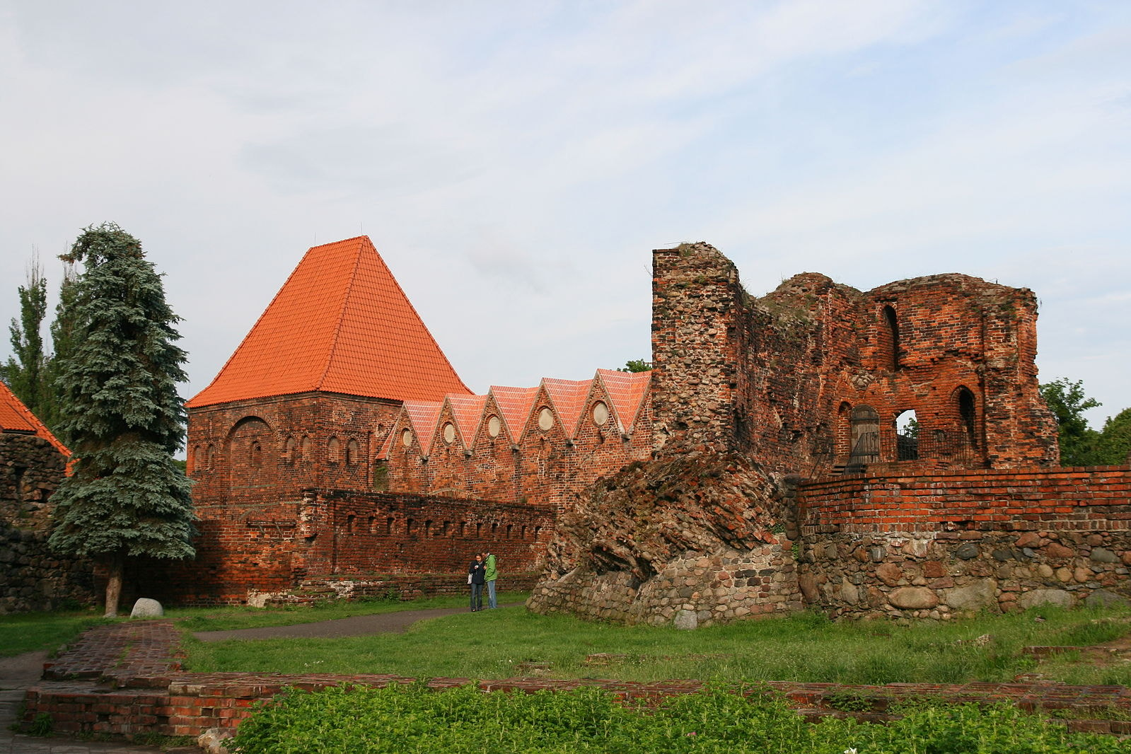 Ruiny Zamku Krzyżackiego w Toruniu otoczone zielenią. Źródło: https://commons.wikimedia.org/wiki/File:Toru%C5%84_-_Zamek_Krzy%C5%BCacki_03.JPG