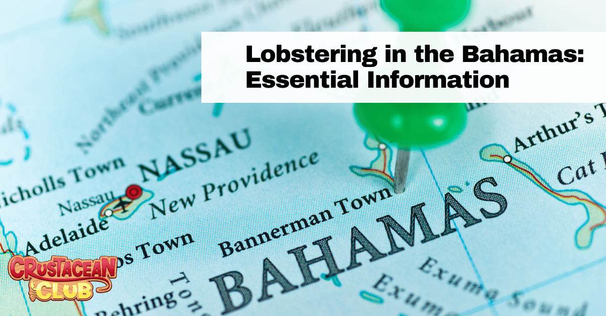 Lobstering in the Bahamas: Essential Information