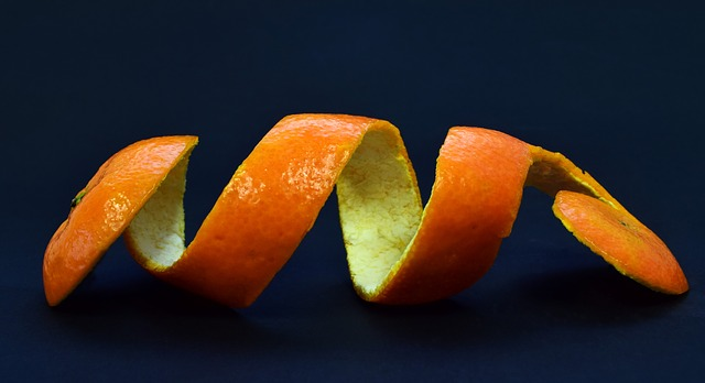 shell, bowl of fruit, orange, garnish